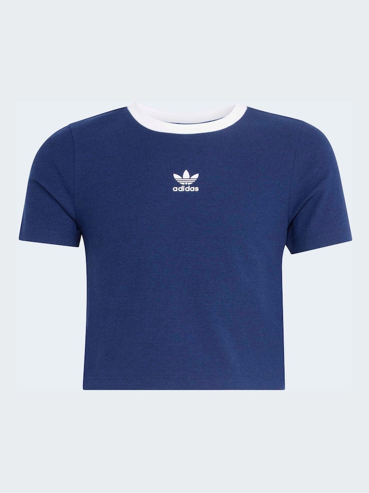 adidas Originals Blue Crop Mini Rib T-Shirt - Image 6 of 6 adidas Originals Blue Crop Mini Rib T-Shirt - Image 6 of 6