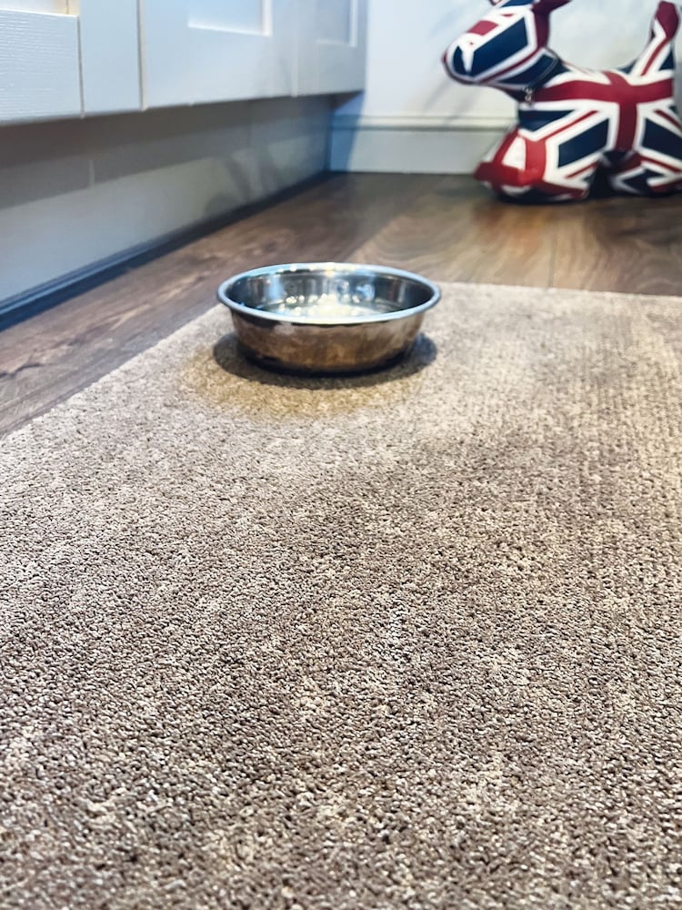 Howler & Scratch Ghost Grey Soft Washable Pet Runner - Image 2 of 2 Howler & Scratch Ghost Grey Soft Washable Pet Runner - Image 2 of 2