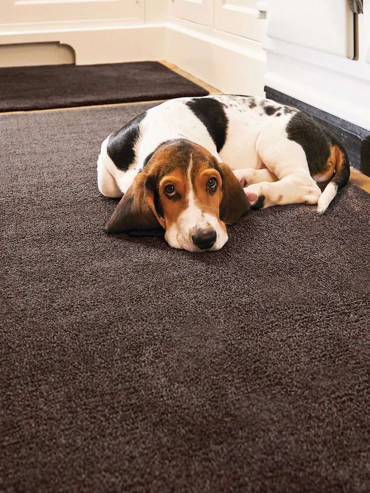 Howler & Scratch Clove Brown Soft Washable Pet Mat - Image 3 of 3 Howler & Scratch Clove Brown Soft Washable Pet Mat - Image 3 of 3