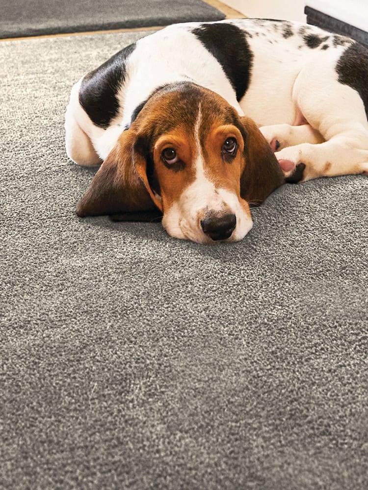 Howler & Scratch Ghost Grey Soft Washable Pet Mat - Image 2 of 2 Howler & Scratch Ghost Grey Soft Washable Pet Mat - Image 2 of 2