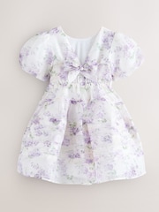 Purple Polly - Laura Ashley Corsage Organza Pintuck Dress - Imaginea 11 din 13