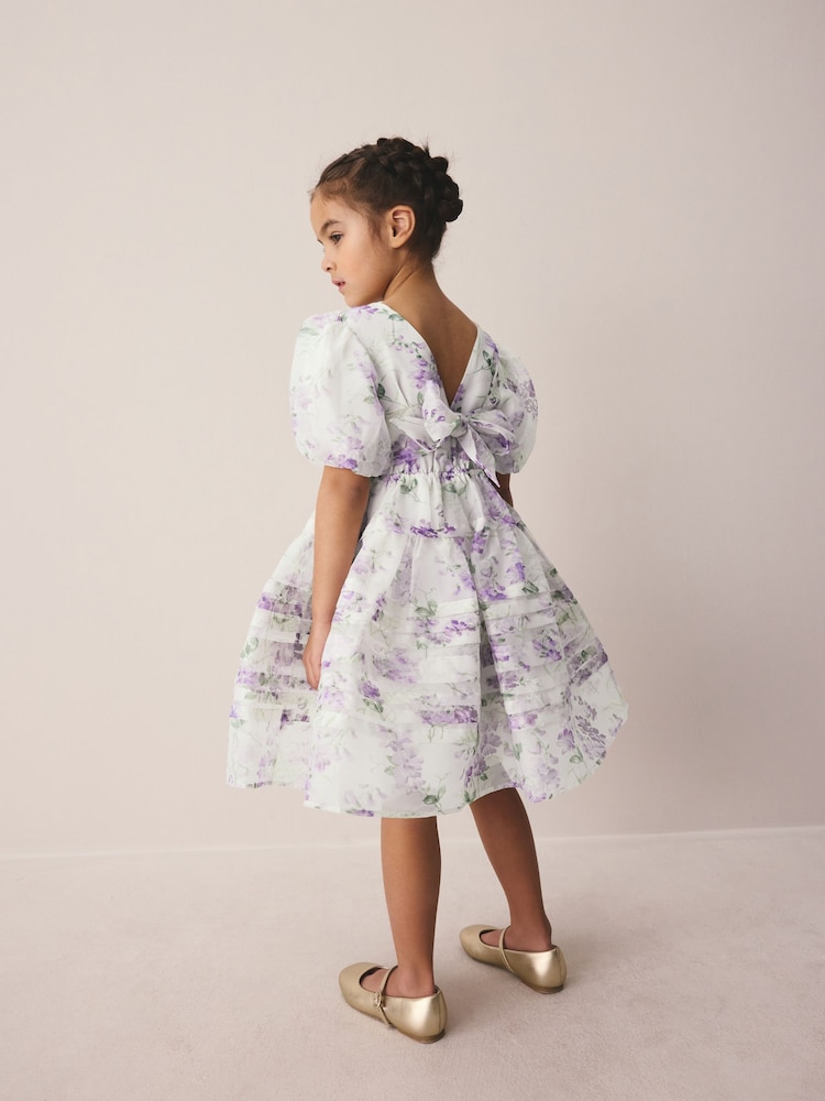 Buy Laura Ashley Purple Polly Corsage Organza Pintuck Dress from Next Oman