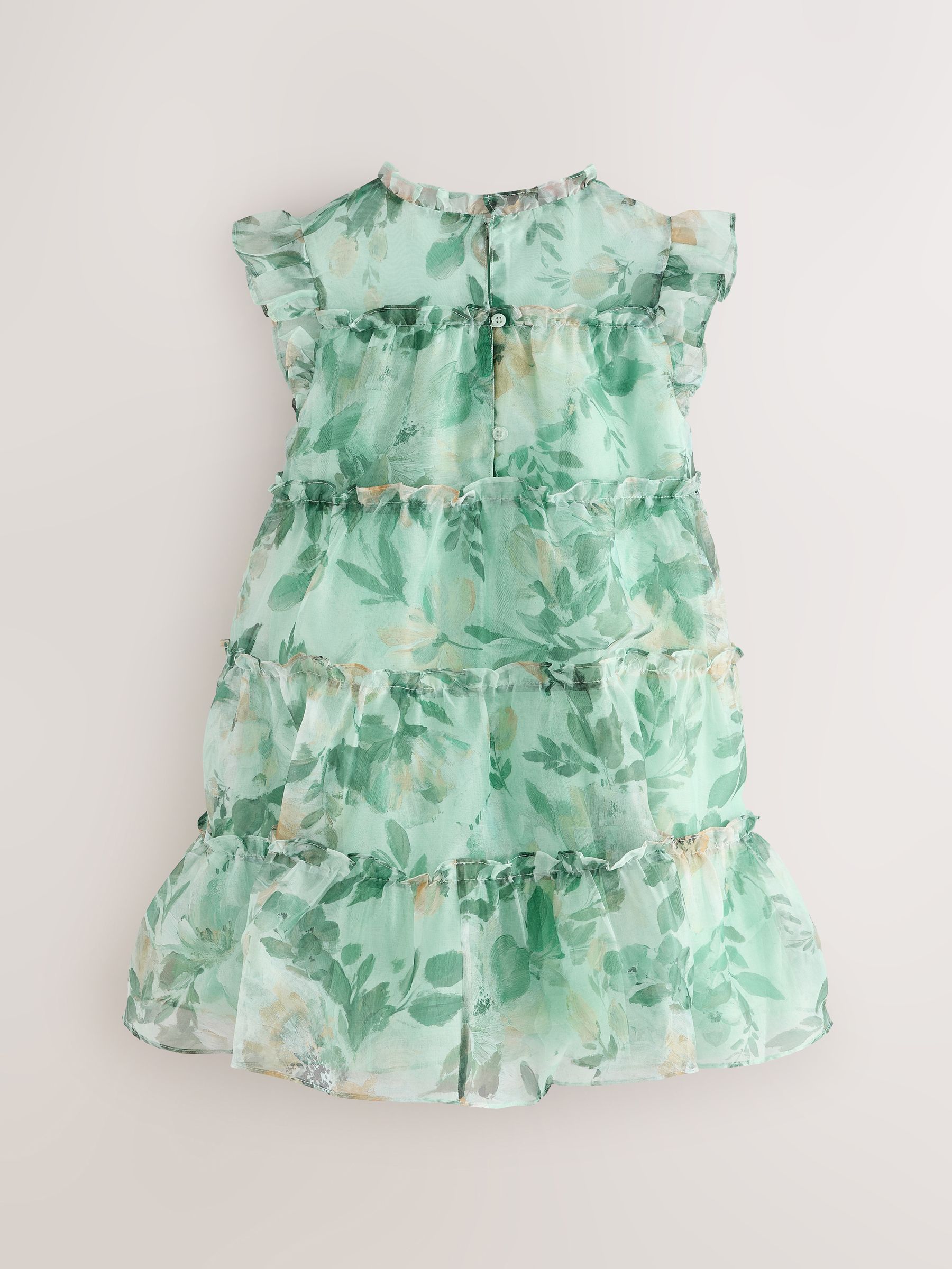 Buy Laura Ashley Green Elowen Peony Frill Tiered Organza Dress