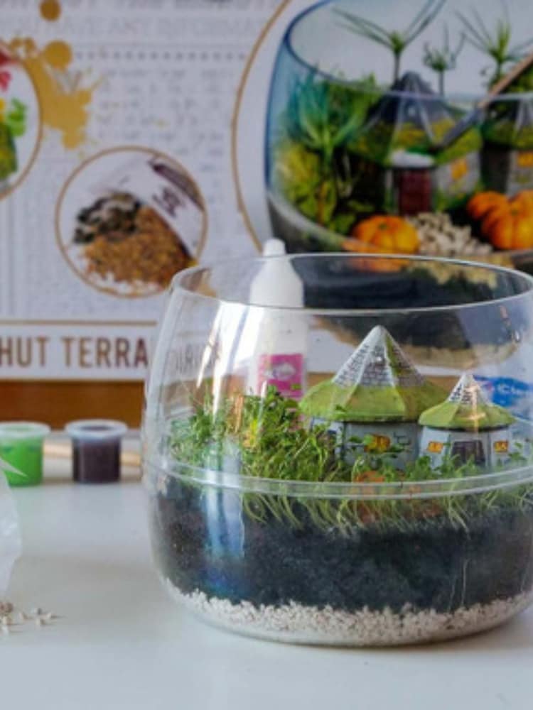 MenKind Clear Hagrids Hut Terrarium - Image 1 of 5 MenKind Clear Hagrids Hut Terrarium - Image 1 of 5