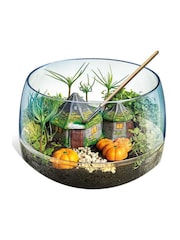 MenKind Clear Hagrids Hut Terrarium - Image 2 of 4