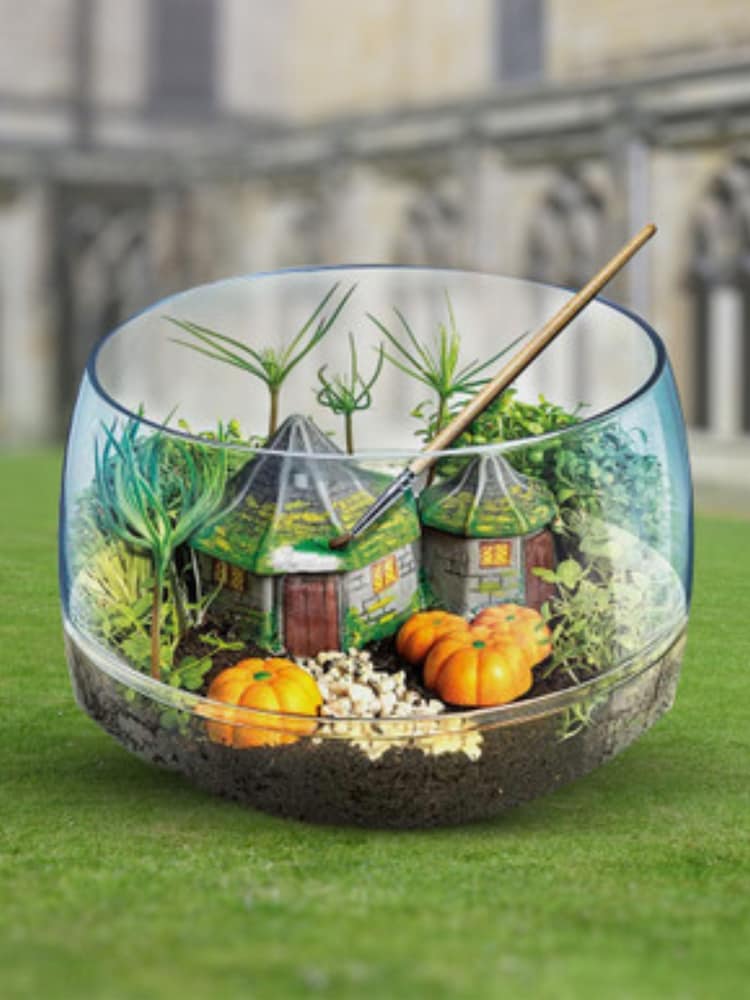 MenKind Clear Hagrids Hut Terrarium - Image 2 of 5 MenKind Clear Hagrids Hut Terrarium - Image 2 of 5
