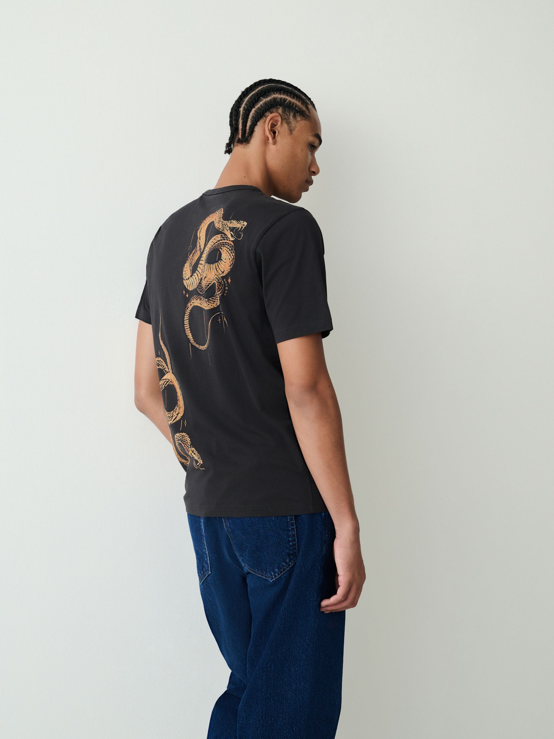 Buy Black Snake Graphic Lightweight T-Shirt from Next USA