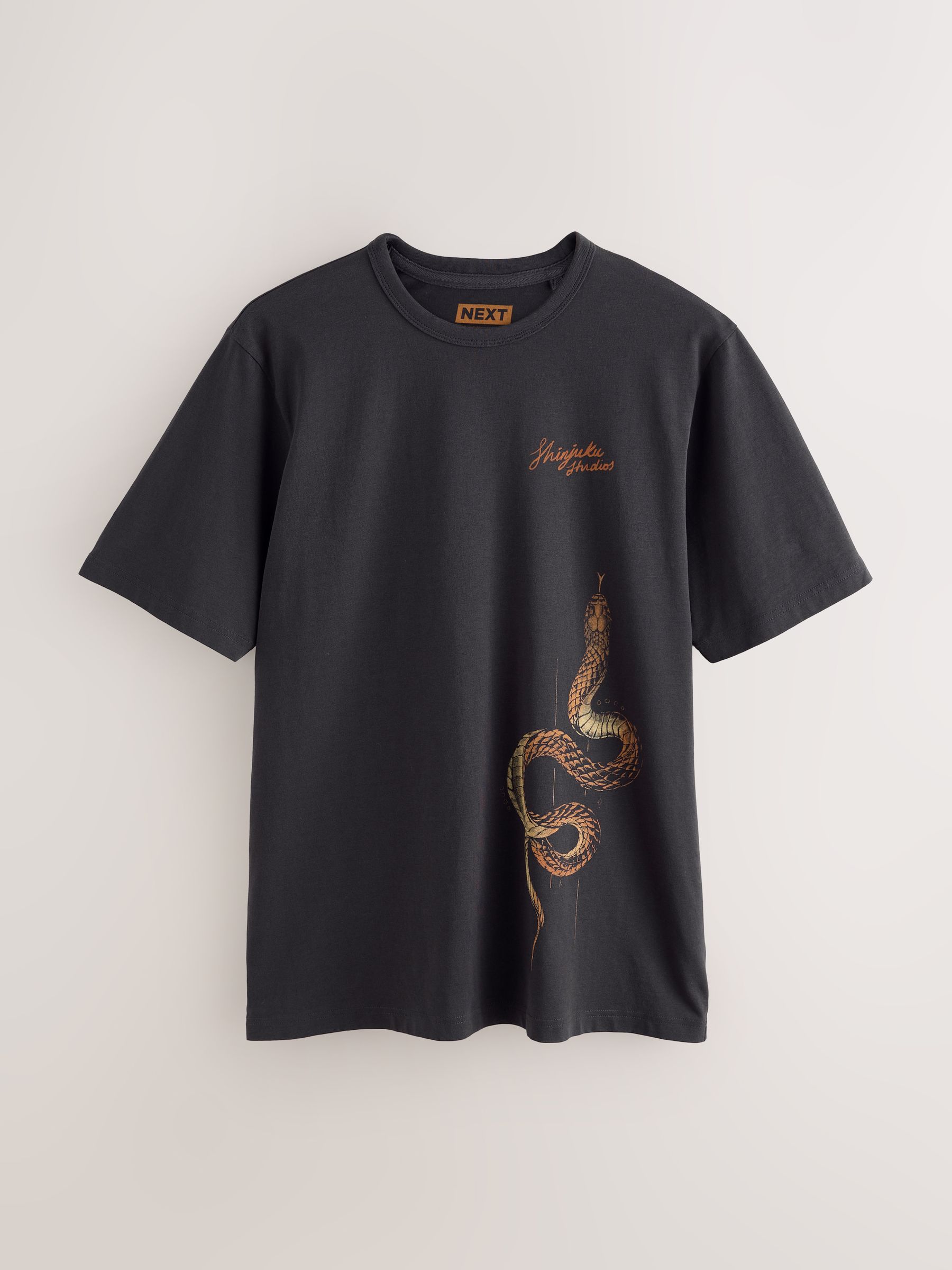 Buy Black Snake Graphic Lightweight T-Shirt from Next USA
