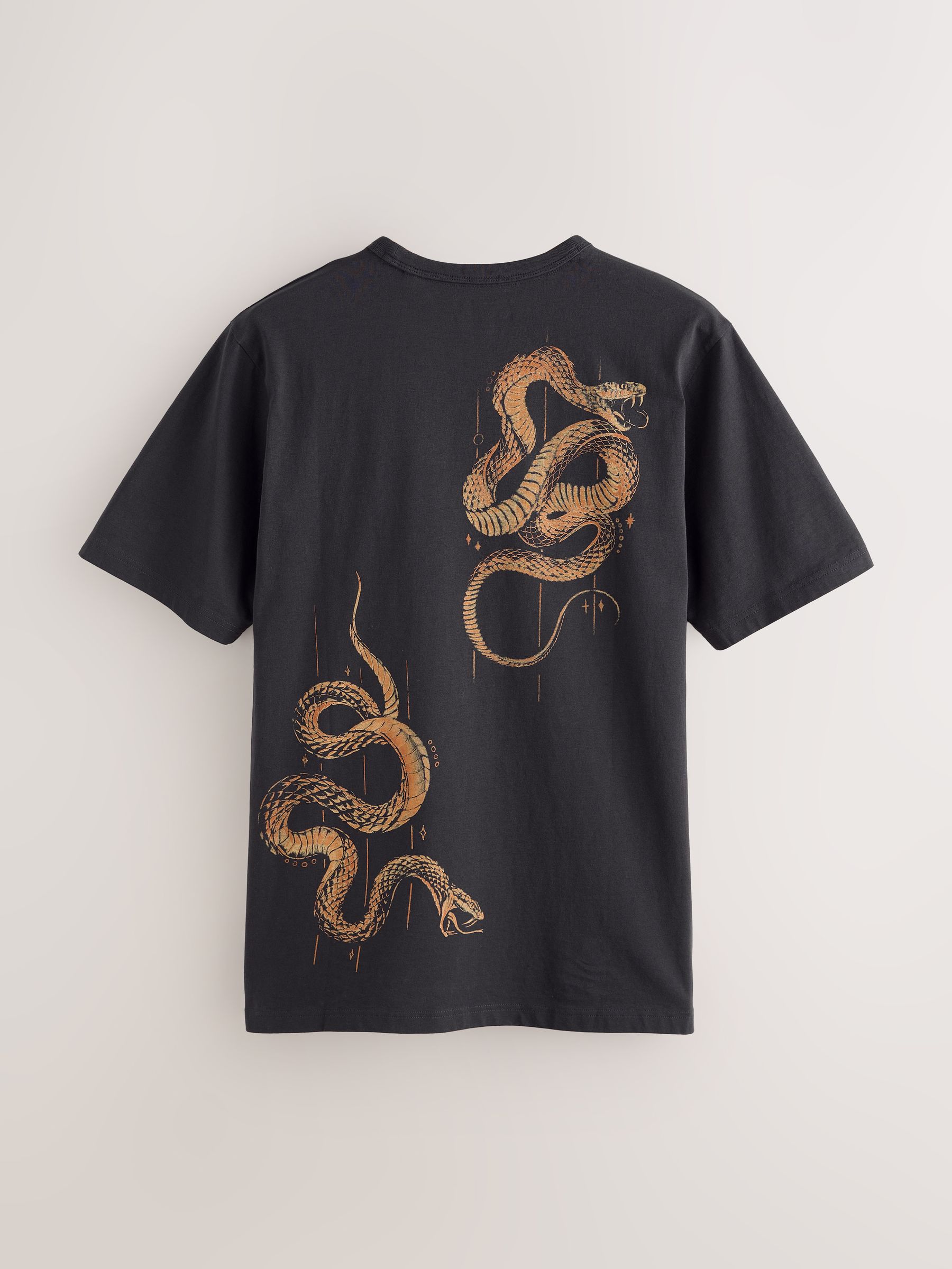 Buy Black Snake Graphic Lightweight T-Shirt from the Next UK