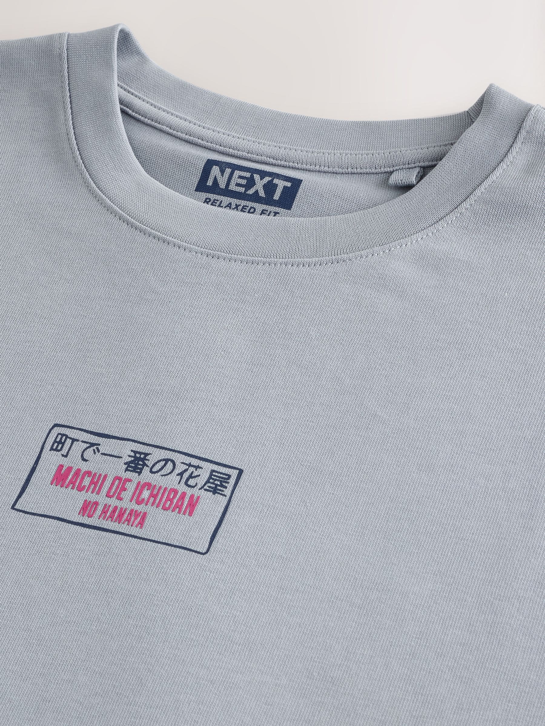 Buy Grey Japan Relaxed Fit Graphic Print Heavy Weight T-Shirt from