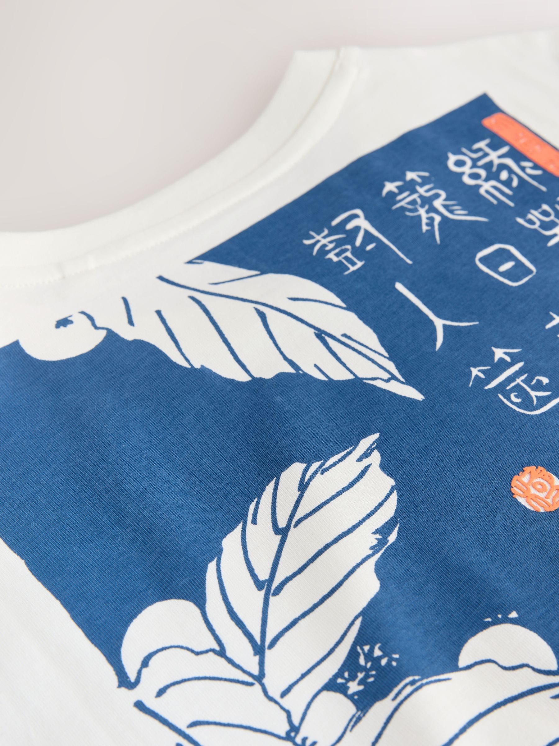 Buy White Hiroshige Relaxed Fit Artist T-Shirt from Next USA