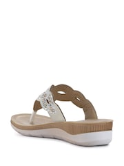 Pavers Brown Cushioned Toe Post Sandals - Image 3 of 5