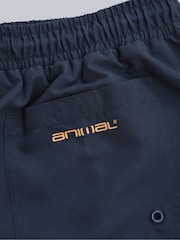 Blau - Animal – Deep Dive – schnell trocknende Board-Shorts für Herren - Bild 4 von 5