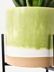 Oliver Bonas Green Large Nora Ceramic Standing Plant Pot - Image 3 of 6