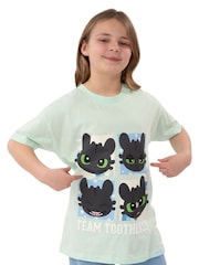 Character Green How To Train Your Dragon Toothless T-Shirt - Image 3 of 10