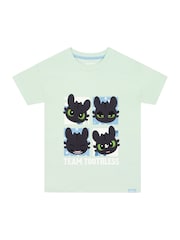 Character Green How To Train Your Dragon Toothless T-Shirt - Image 6 of 10