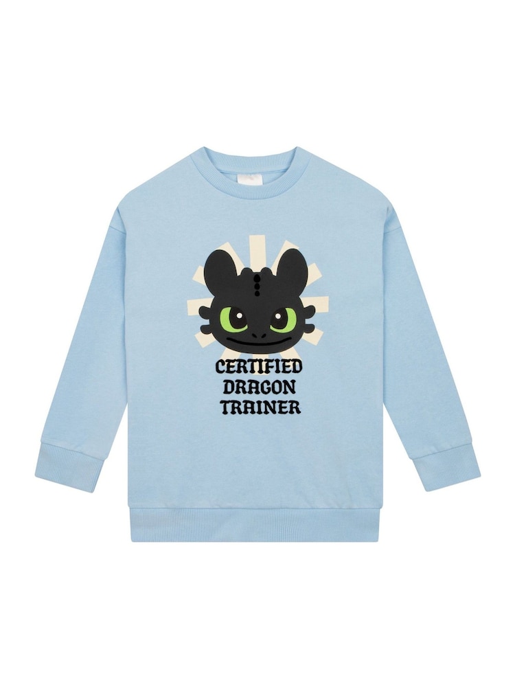 Character Blue How To Train Your Dragon Toothless Sweatshirt - Image 1 of 11
