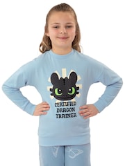 Character Blue How To Train Your Dragon Toothless Sweatshirt - Image 8 of 11