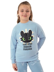 Character Blue How To Train Your Dragon Toothless Sweatshirt - Image 9 of 11