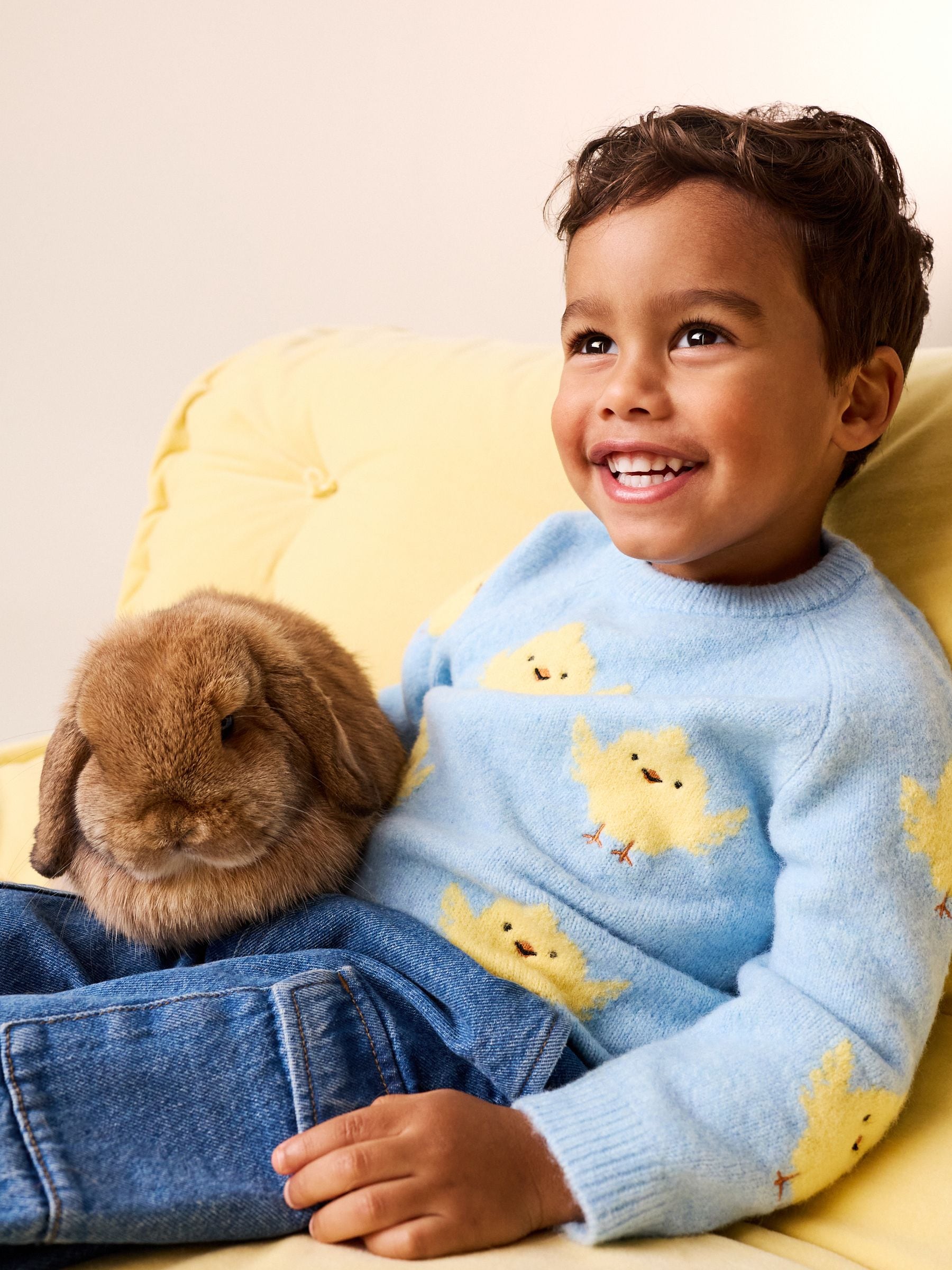 Buy Blue Chick Knitted Crew Neck Jumper (3mths-7yrs) from Next USA
