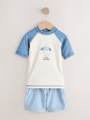 Blue/Ecru Seagull Short Sleeve Sunsafe Rash Vest and Swim Shorts Set (3mths-7yrs) - Image 5 of 8