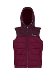 Regatta Purple Lofthouse Bodywarmer Gilet - Image 6 of 8