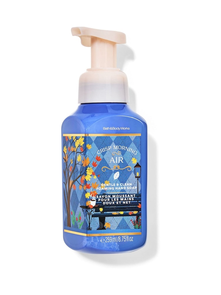Bath & Body Works Crisp Morning Air Gentle & Clean Foaming Hand Soap - Image 1 of 1 Bath & Body Works Crisp Morning Air Gentle & Clean Foaming Hand Soap - Image 1 of 1