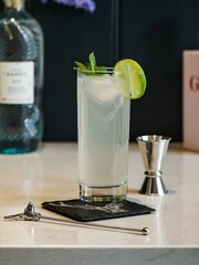 Selbrae House Clear Silver Stag Highball Drinks Set - Image 2 of 3