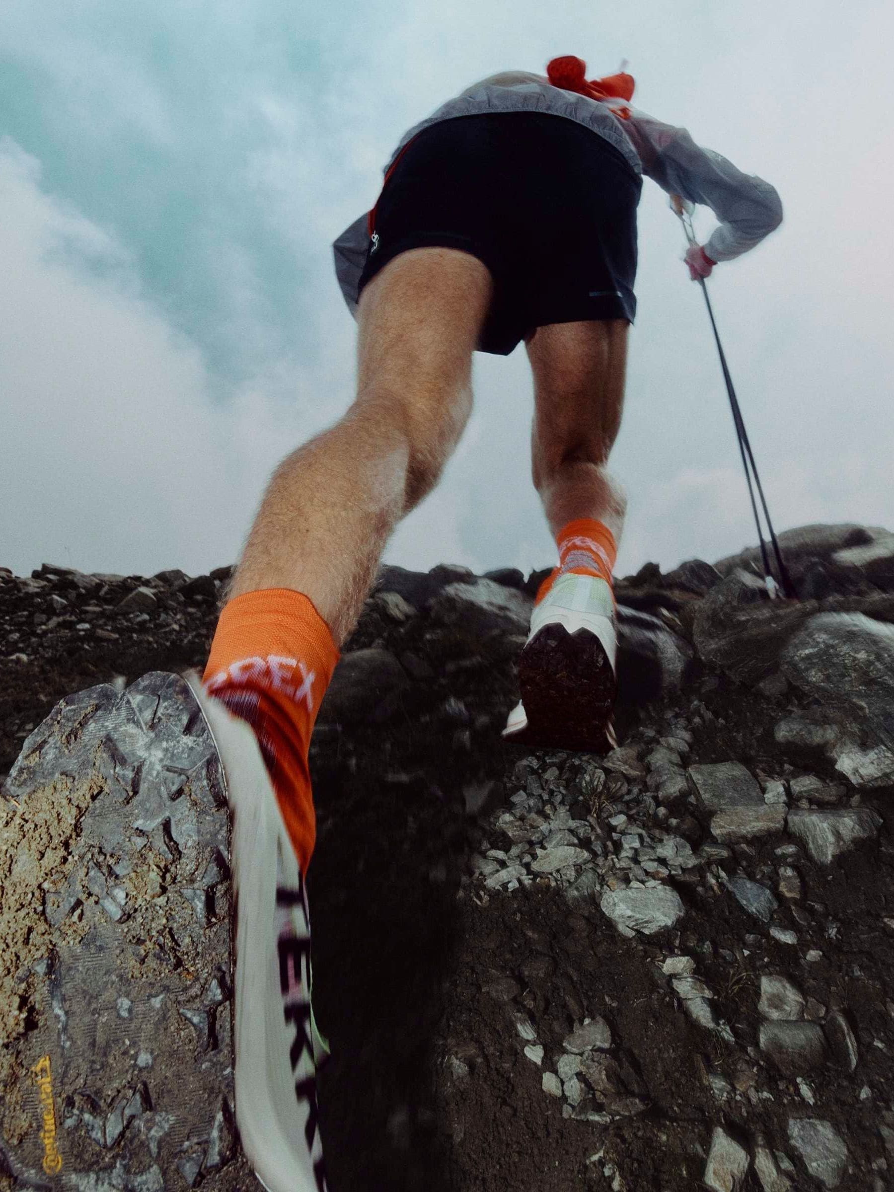 Buy adidas White Terrex Agravic Tt Trail Running Shoes from Next USA