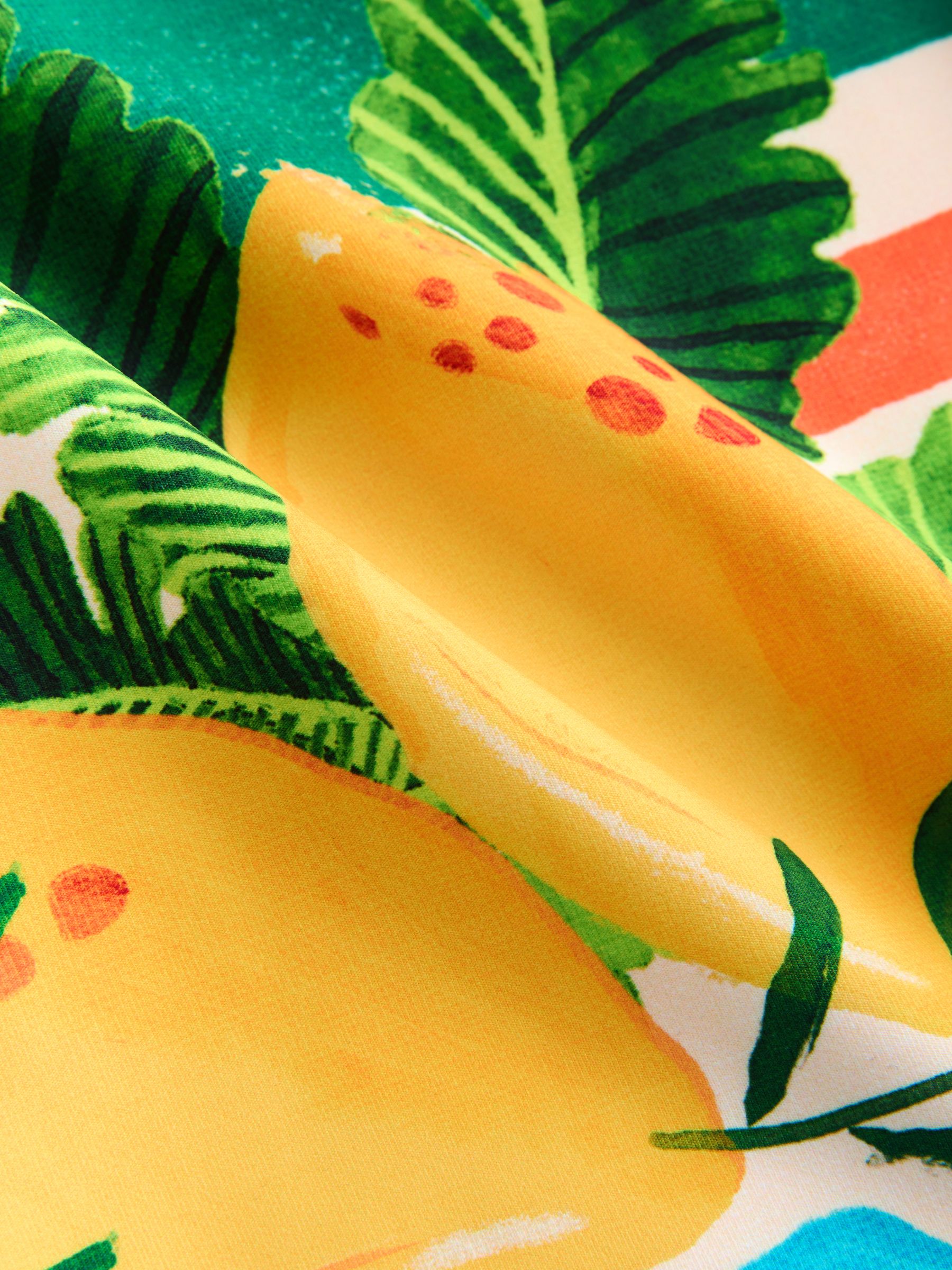 Buy Bright Fruit Stripe Tankini Whipstitch Crop Bikini Top from