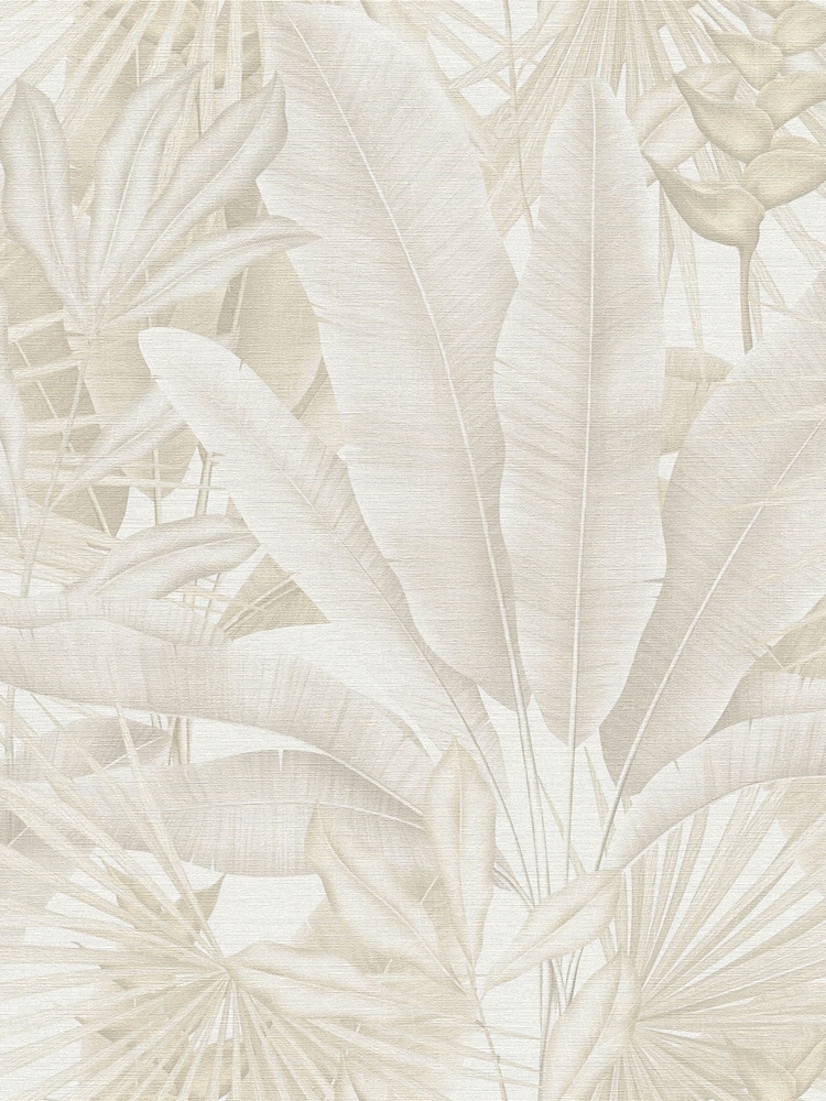 Galerie Beige Welcome Home Tree Leaf A4 Wallpaper Sample - Image 2 of 5 Galerie Beige Welcome Home Tree Leaf A4 Wallpaper Sample - Image 2 of 5