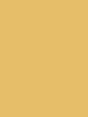 Laurence Llewelyn-Bowen Yellow Garlic Butter Matt Emulsion Paint Tester Pot - Image 2 of 4