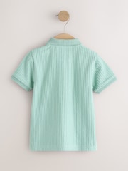 כחול תכלת - חולצת פולו עם שרוולים קצרים ומרקם (גיל 3 חודשים עד 7 שנים) - תמונה 2 מתוך 4