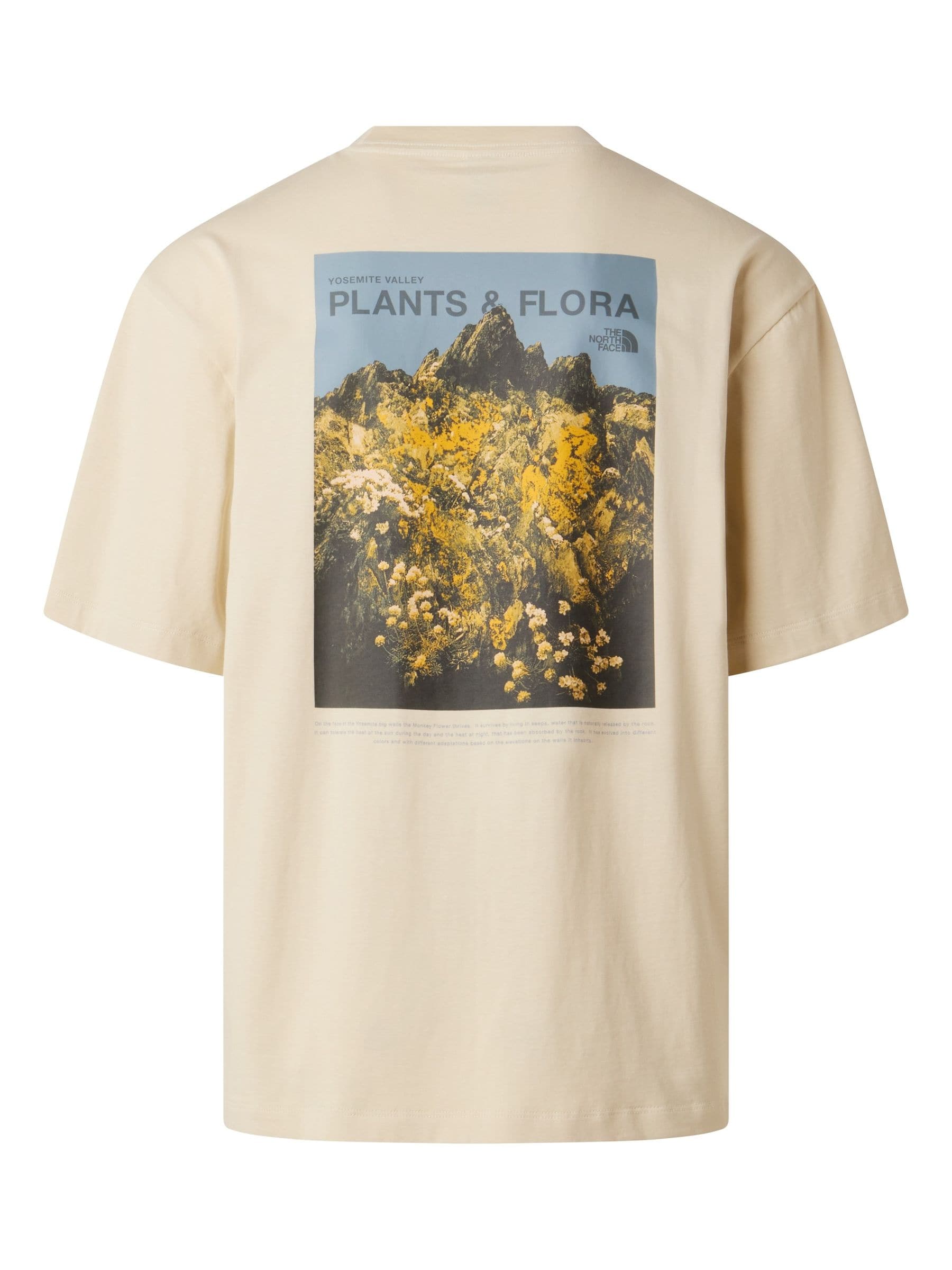 Buy The North Face Brown Plant & Flora Back Graphic Oversized T