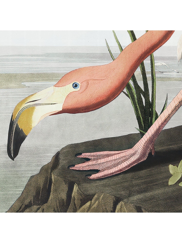 Art Marketing Multicoloured Vintage Flamingo Wall Art - Image 2 of 4