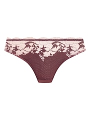 Wacoal Brown Modern Affair Bikini Briefs - Image 6 of 6