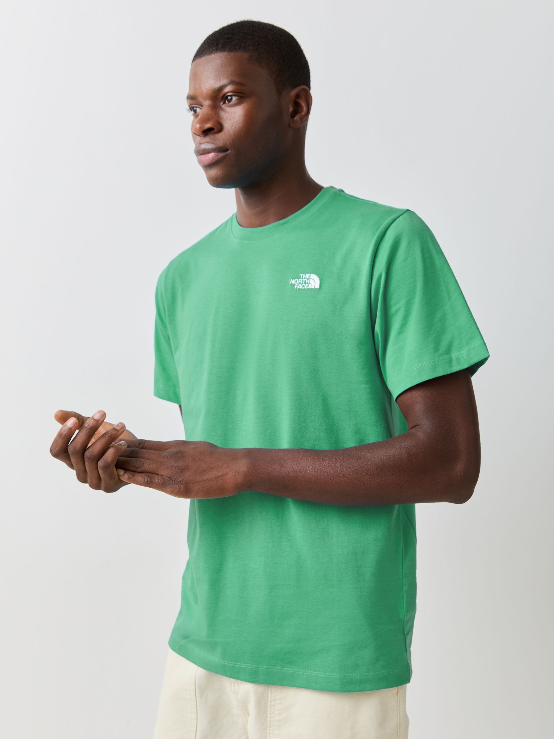 Next：日本 グリーン - The North Face Simple Dome Tシャツ from Next