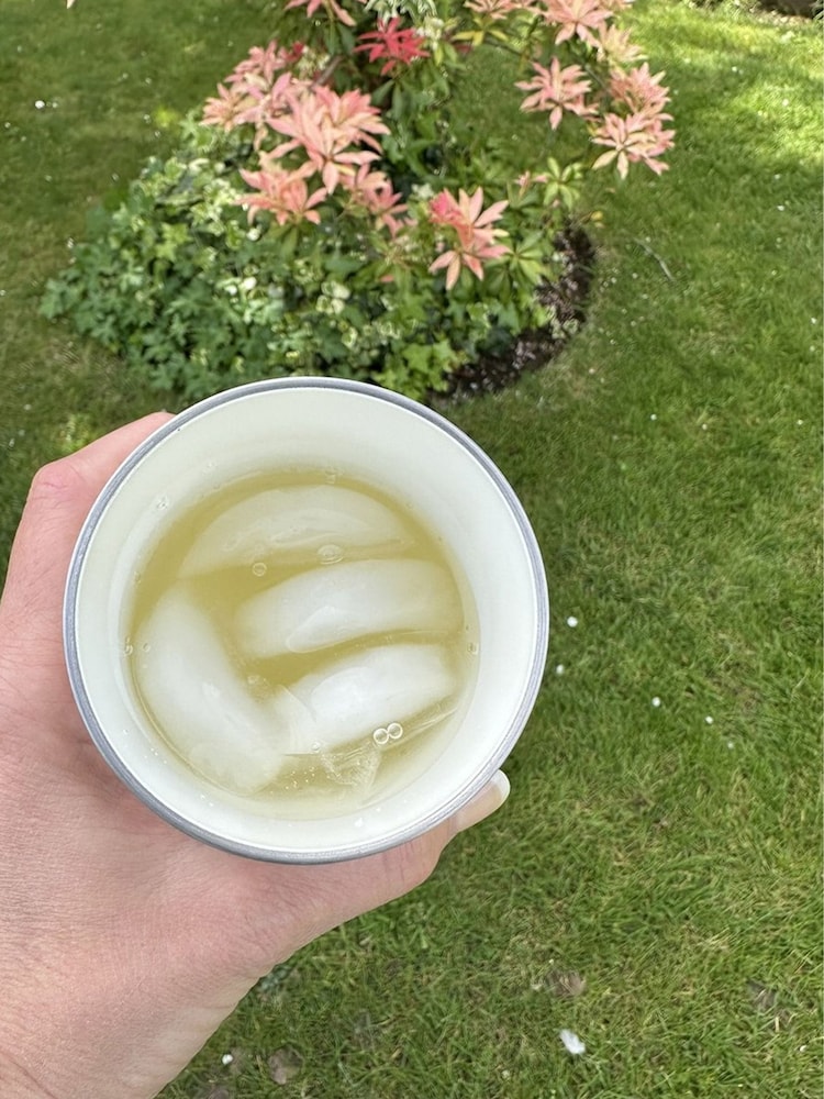 Pickle Picnic No Monday Blues Drinks Tumbler Travel Mug with Ceramic Inner - Image 2 of 4 Pickle Picnic No Monday Blues Drinks Tumbler Travel Mug with Ceramic Inner - Image 2 of 4
