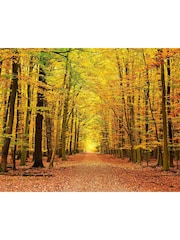 Origin Murals Spice Autumn Forest Matte Non Woven A3 Mural Sample - Image 2 of 2