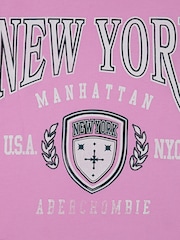 Abercrombie & Fitch Pink Abercrombie & Fitch Pink New York Crest Boxy T-Shirt - Image 6 of 6