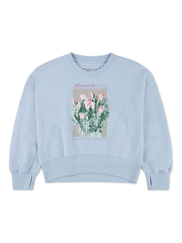 Abercrombie & Fitch Blue Graphic Crew Neck Jumper - Image 1 of 4
