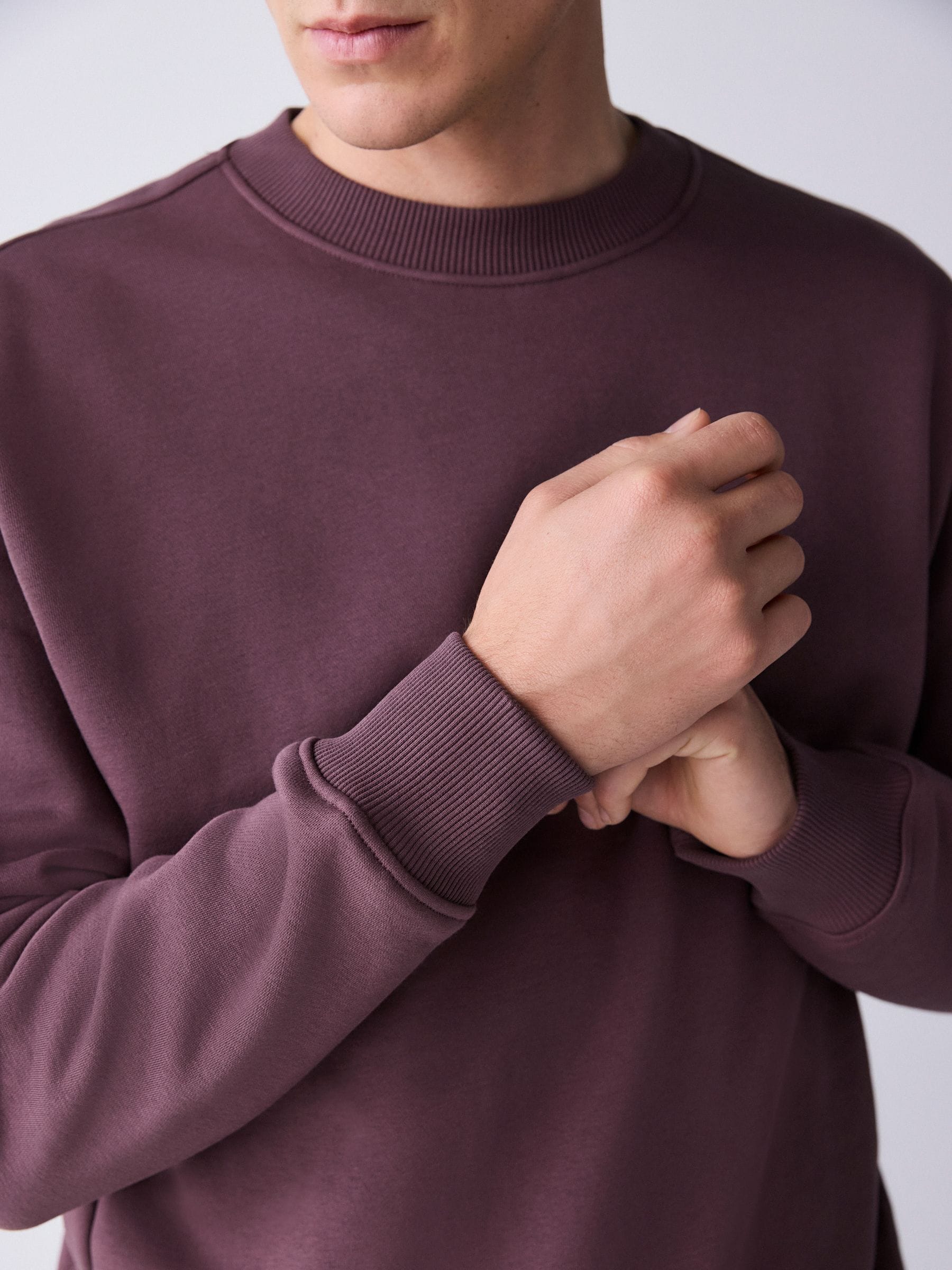 Buy Berry Red Regular Fit Heavyweight Cotton Rich Crew Neck