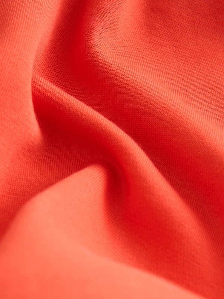 Orange Regular Fit Heavyweight Cotton Rich Jersey Hoodie - Image 8 of 8