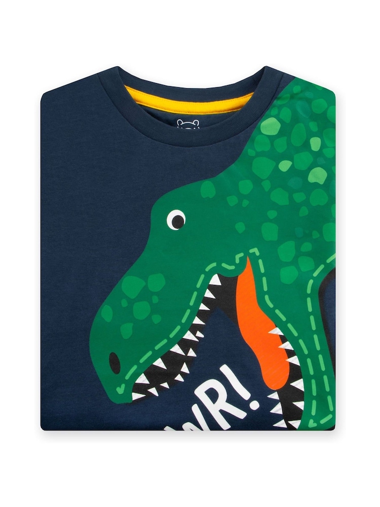 Character Blue Boys Harry Bear Dinosaur Print T-Shirt - Image 6 of 6