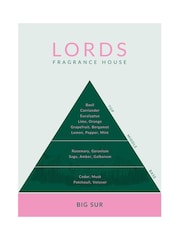 Lords Fragrance House Green Big Sur 3 Wick Candle 650g - Image 4 of 4