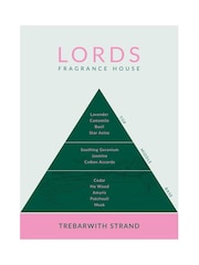 Lords Fragrance House Green Trebarwith Strand Amber Glass Pink Sticks Reed Diffuser 200ml - Image 5 of 5