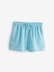 Light Blue Embroided Swim Shorts - Image 1 of 1