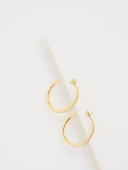 Ted Baker Gold Tone Clanci: Medium Crystal Hoop Earrings - Image 1 of 6