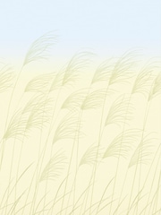 Harlequin Yellow Miscanthus A4 Wallpaper Sample - Image 1 of 1