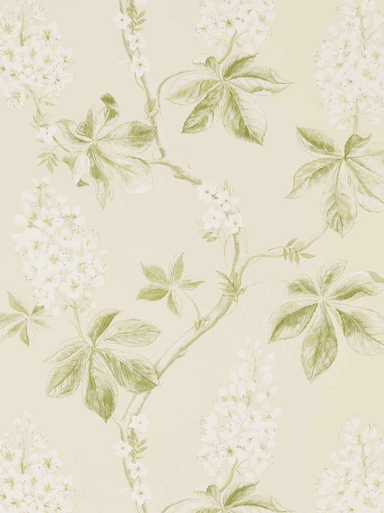 Sanderson Green Chestnut Tree A4 Wallpaper Sample - Image 1 of 1 Sanderson Green Chestnut Tree A4 Wallpaper Sample - Image 1 of 1